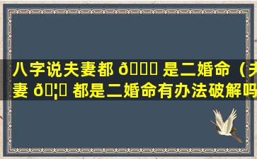 八字说夫妻都 💐 是二婚命（夫妻 🦊 都是二婚命有办法破解吗）